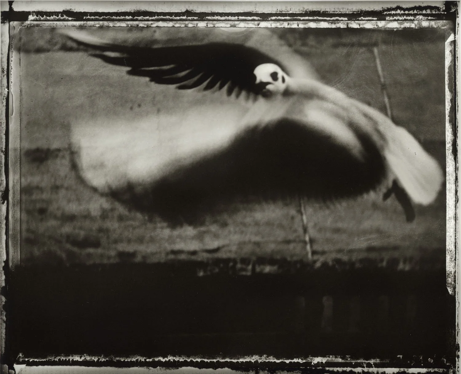 HOF Inductee Sarah Moon — International Photography Hall of Fame